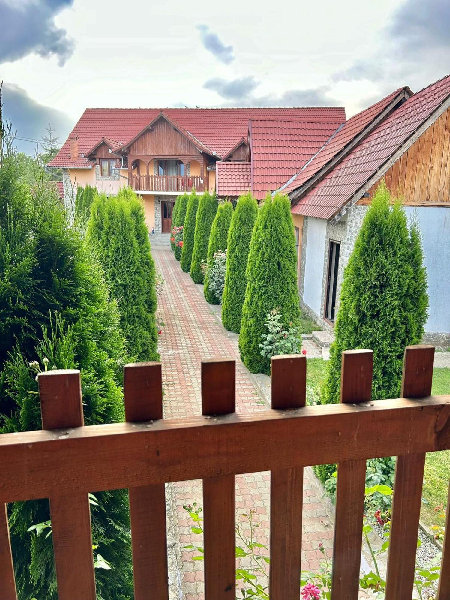 Pensiunea Casa Nina Cîrţişoara 외부 사진