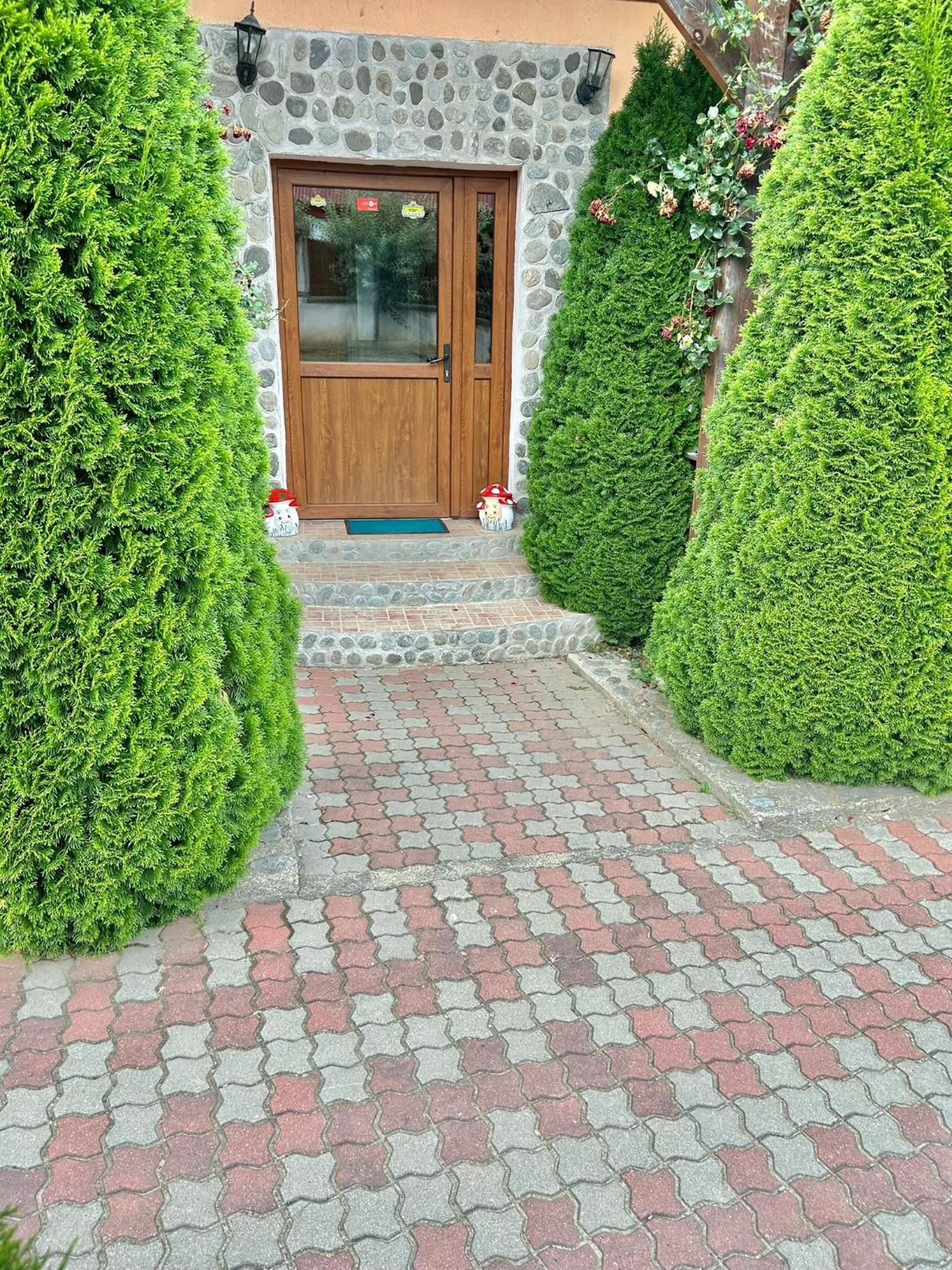 Pensiunea Casa Nina Cîrţişoara 외부 사진