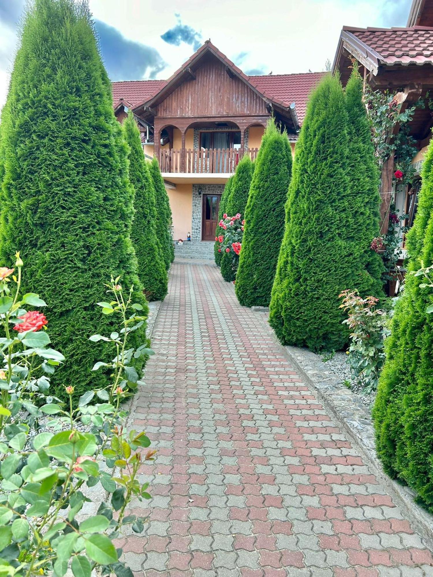 Pensiunea Casa Nina Cîrţişoara 외부 사진