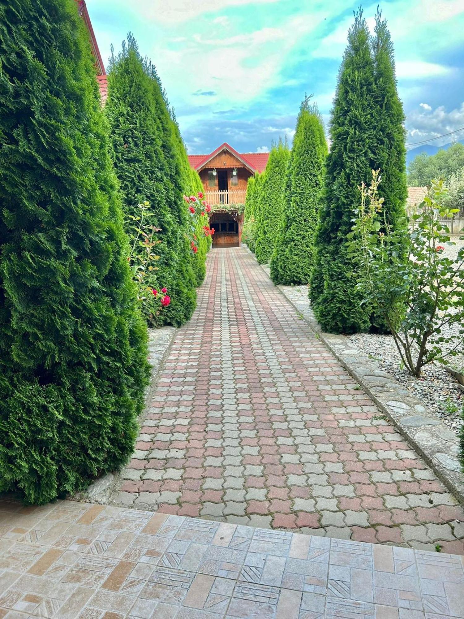 Pensiunea Casa Nina Cîrţişoara 외부 사진